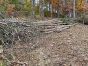 IMG_5752.jpg