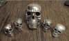 skulls polished-1.jpg